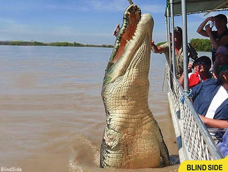 the Largest Living Crocodile